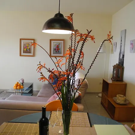 Apartemento Monika Monte Pedrera C 5 Aussicht Apartment