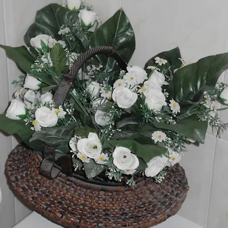 Apartemento Monika Monte Pedrera C 5 Aussicht *